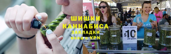 шишки Козельск