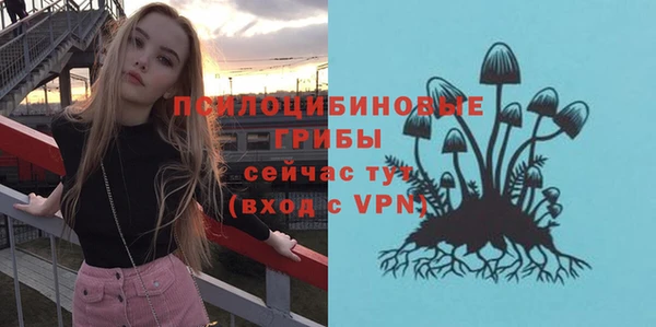 Альфа ПВП Козловка
