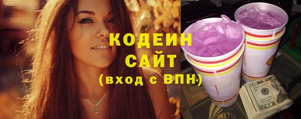 spice Кодинск