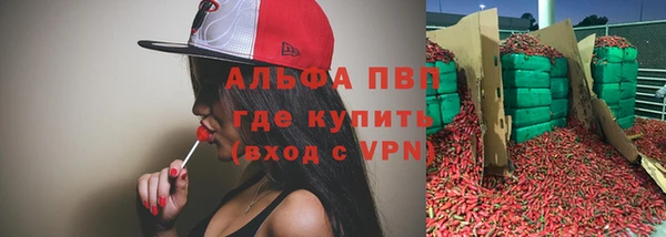 шишки Козельск