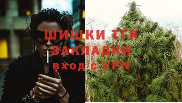 шишки Козельск