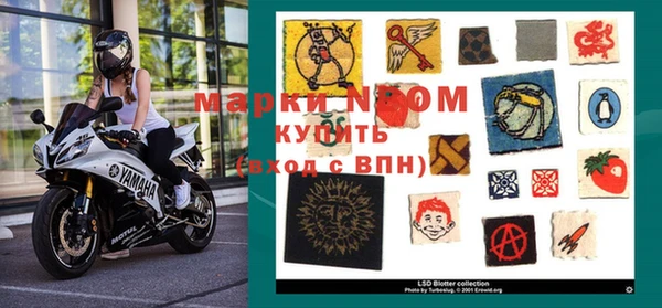 шишки Козельск