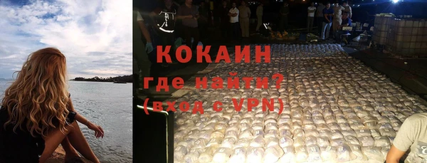 шишки Козельск