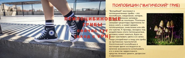 шишки Козельск