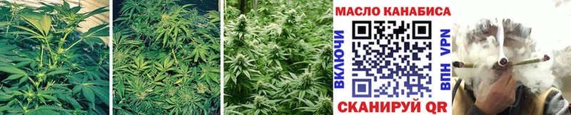 ТГК THC oil  Купить где  Курчалой 